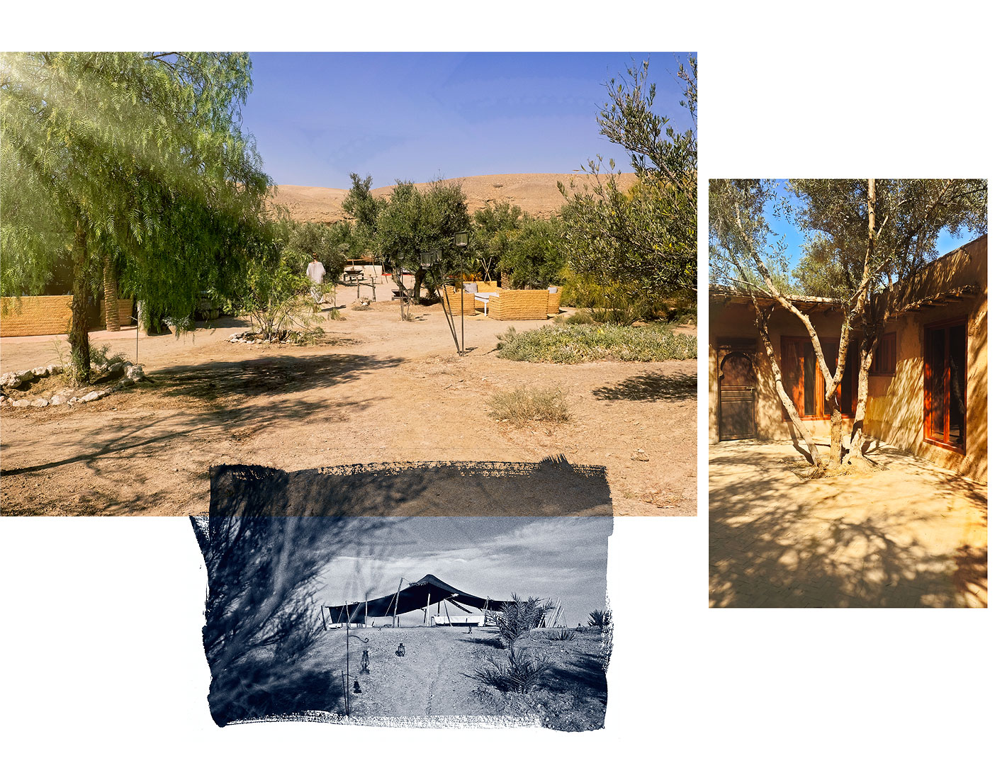 Espaces extérieurs et nature dans un camp de luxe dans le désert de Marrakech - La Pause, Maroc